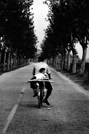 摄影 Erwitt - Provence