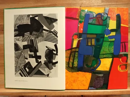 插图书 Esteve - Xxe no33