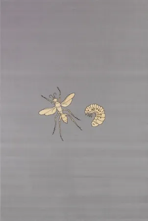 复数作品 Fabre - Fly