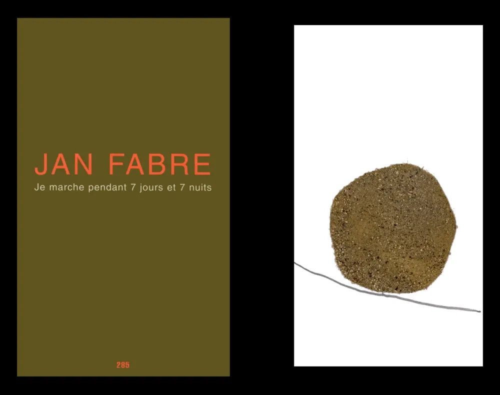 插图书 Fabre - L'art en écrit