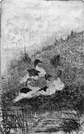 蚀刻版画 Fattori - Le anatre