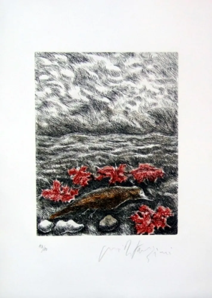 插图书 Fazzini - Gabbiani