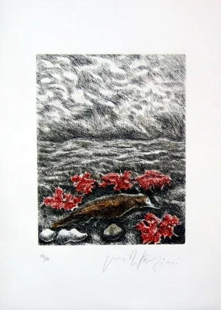 插图书 Fazzini - Gabbiani