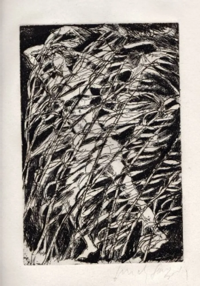 插图书 Fazzini - Inni