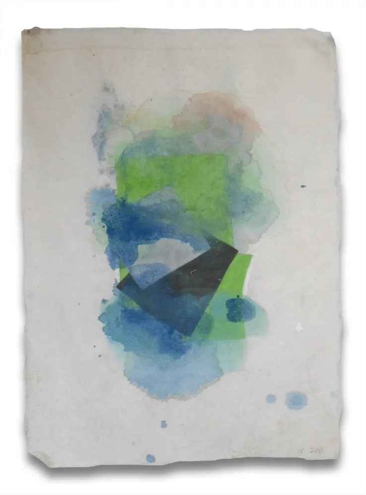 无技术 Feinberg - Blur