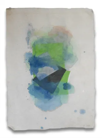 无技术 Feinberg - Blur