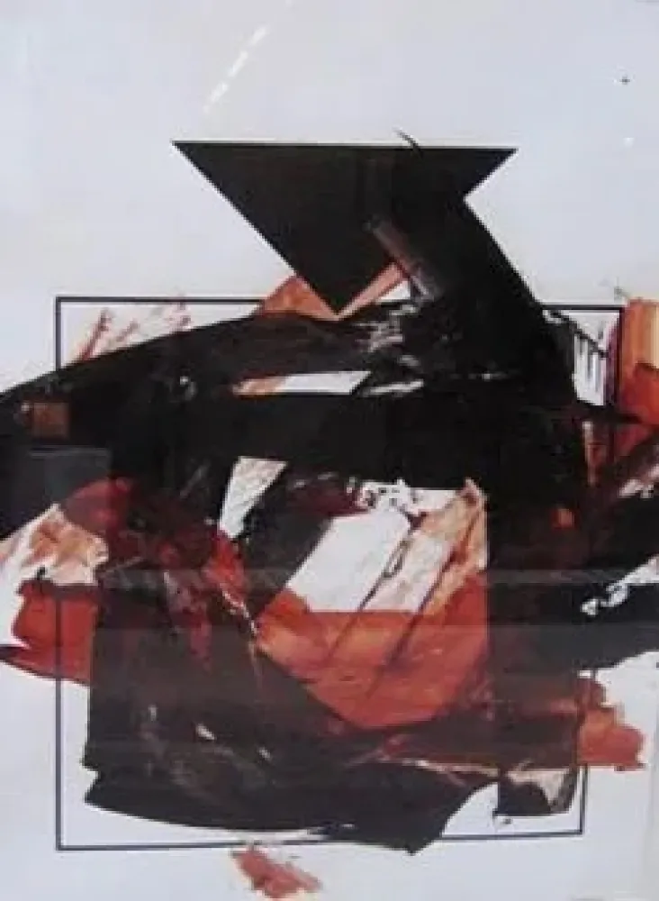 无技术 Feito - Pintura 5