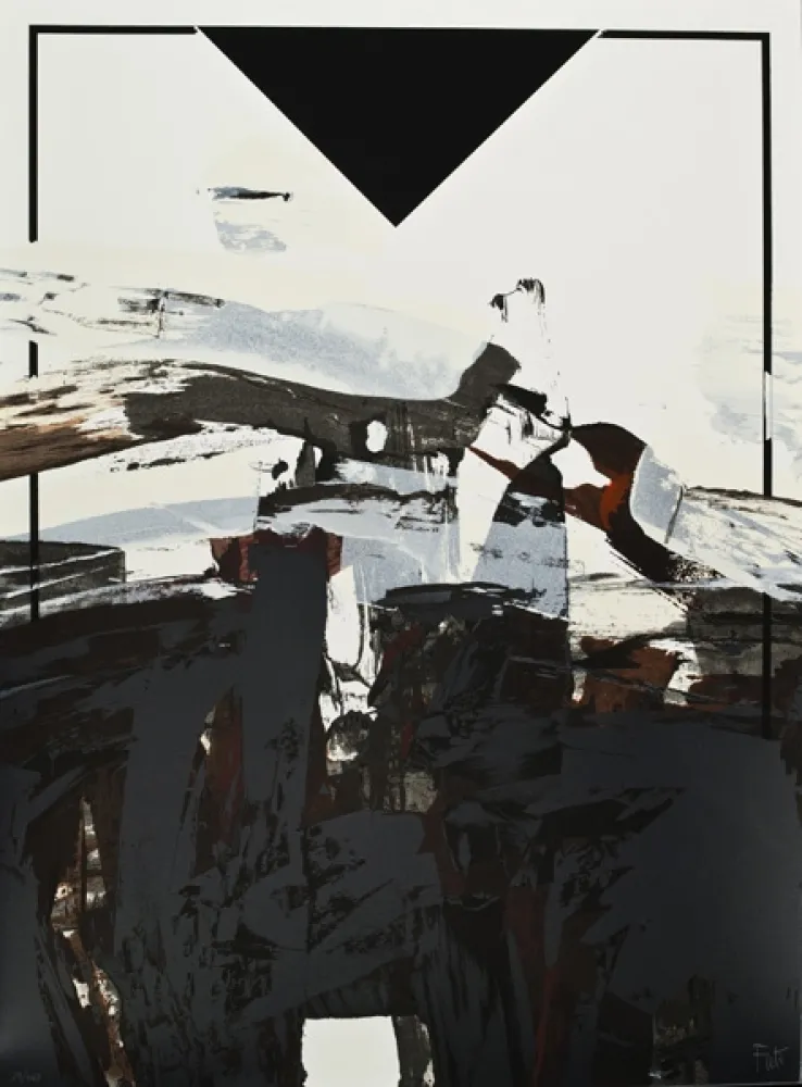 丝网印刷 Feito - Sin título