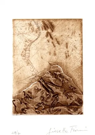 插图书 Fioroni - Il titolo