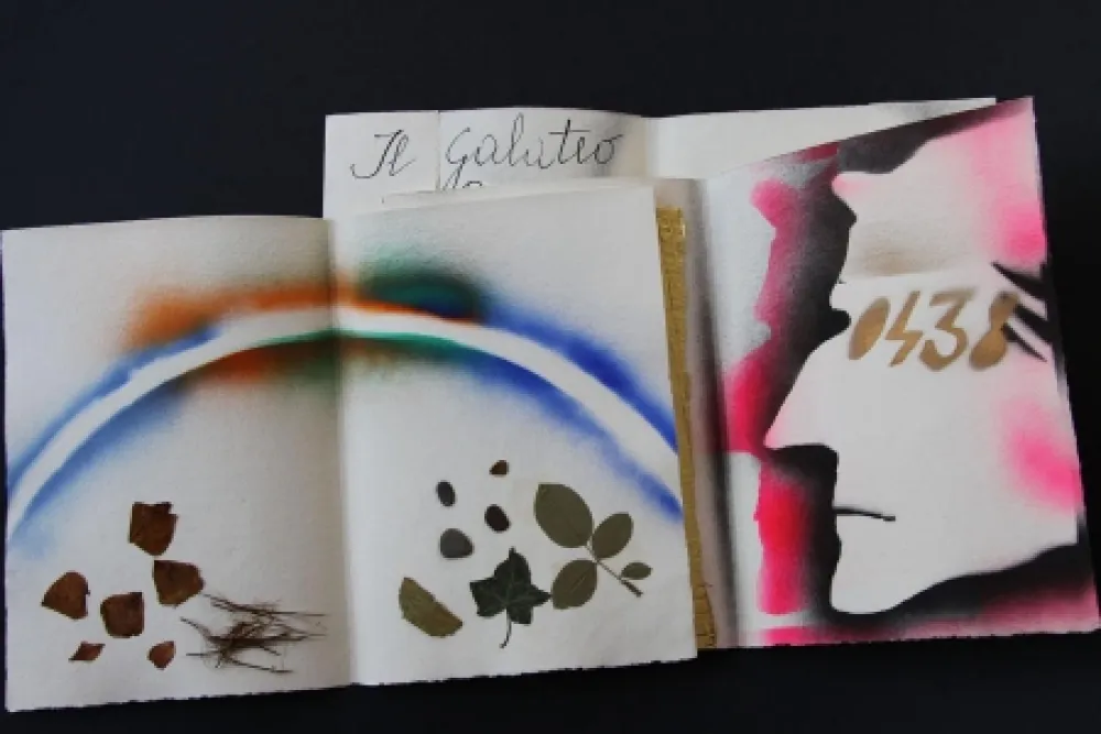 插图书 Fioroni - Sonetto di veti e iridi