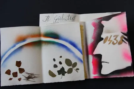 插图书 Fioroni - Sonetto di veti e iridi