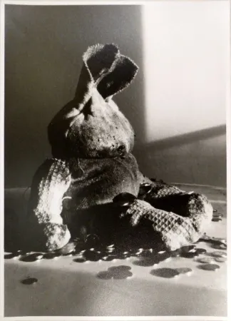 摄影 Fischli - Lumpentiti / Rag Doll (Geldsack)