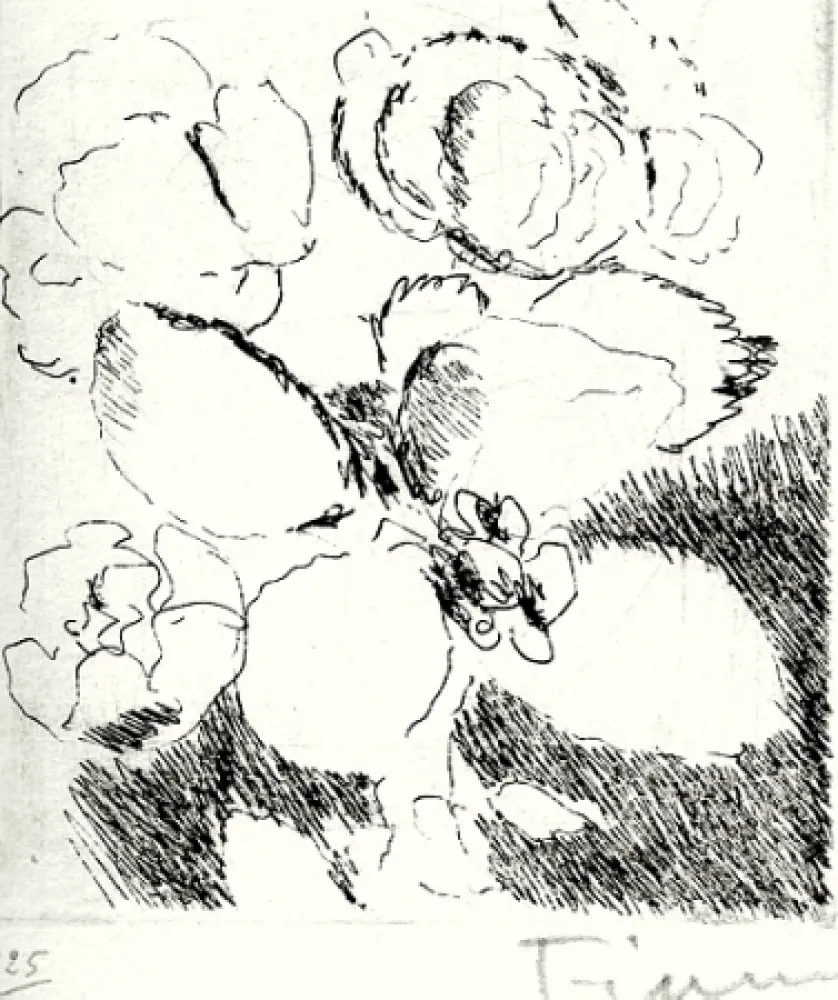 插图书 Fiume - Dietro le carte