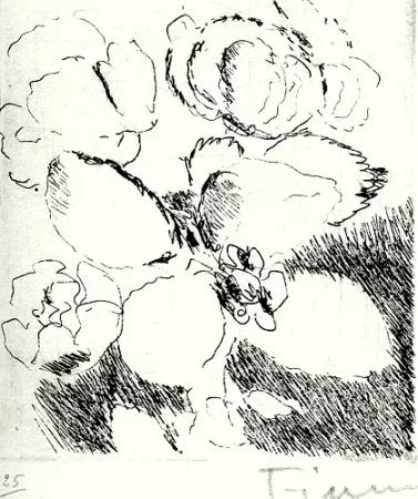 插图书 Fiume - Dietro le carte