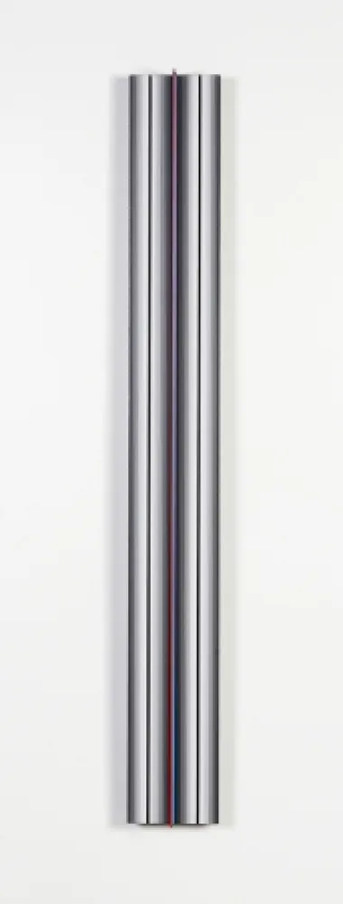 复数作品 Flores - Prochromatique yc1