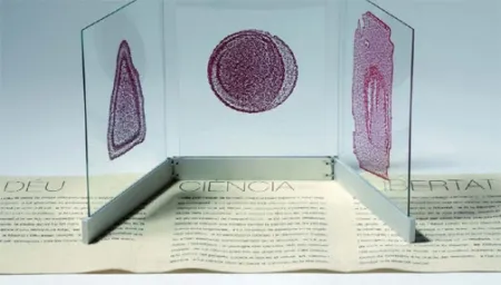 插图书 Fontcuberta - Deu, ciència i llibertat