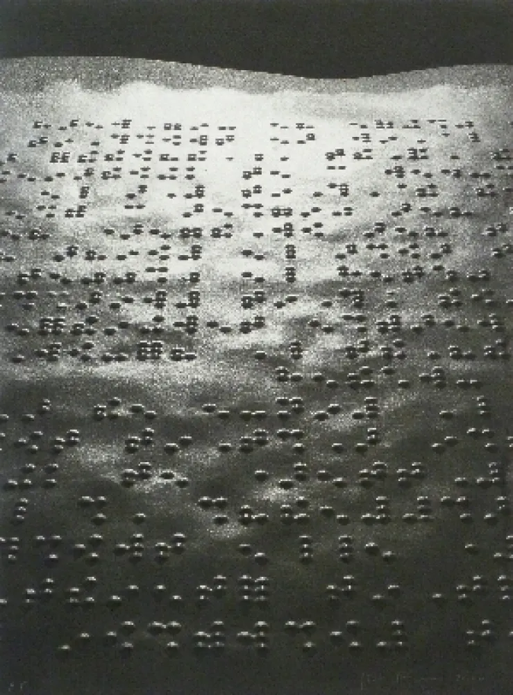 摄影 Fontcuberta - Paisatge braille