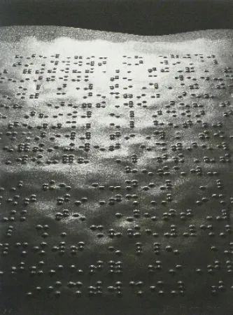 摄影 Fontcuberta - Paisatge braille