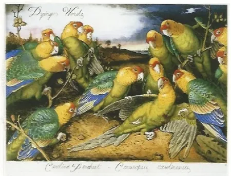 复数作品 Ford - Dying words