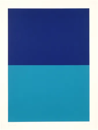 丝网印刷 Forg - Ohne Titel 01