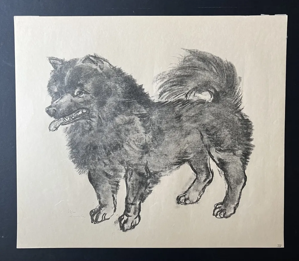 石版画 Foujita -  Le Chien