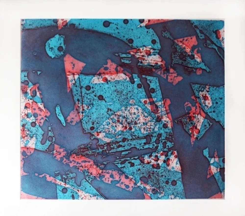 版画 Francis - Salmon