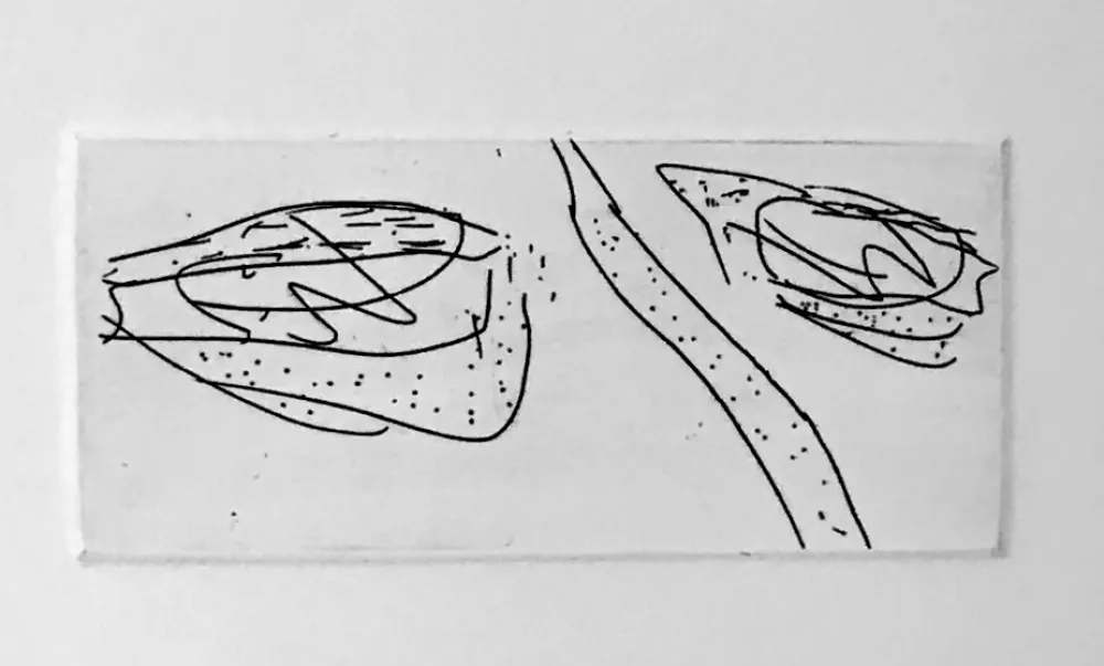 飞尘腐蚀法 Francis - Self Portrait