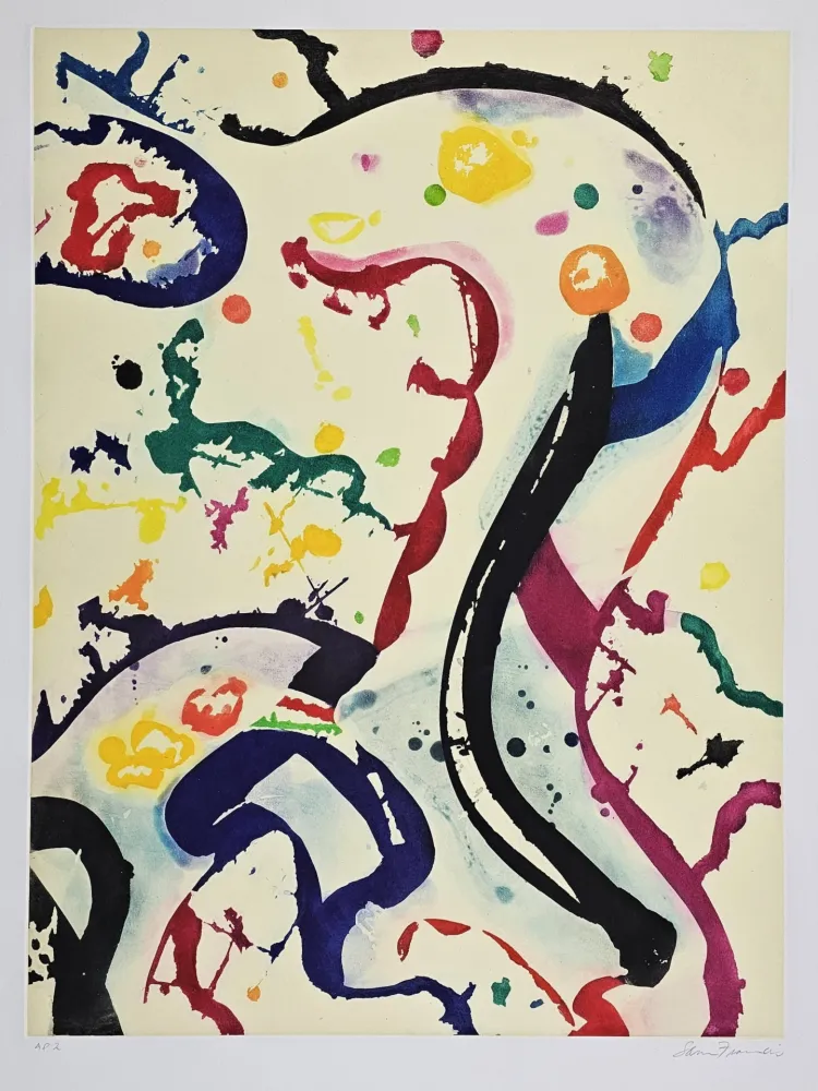 飞尘腐蚀法 Francis - SFE-073