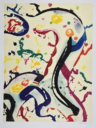 飞尘腐蚀法 Francis - SFE-073