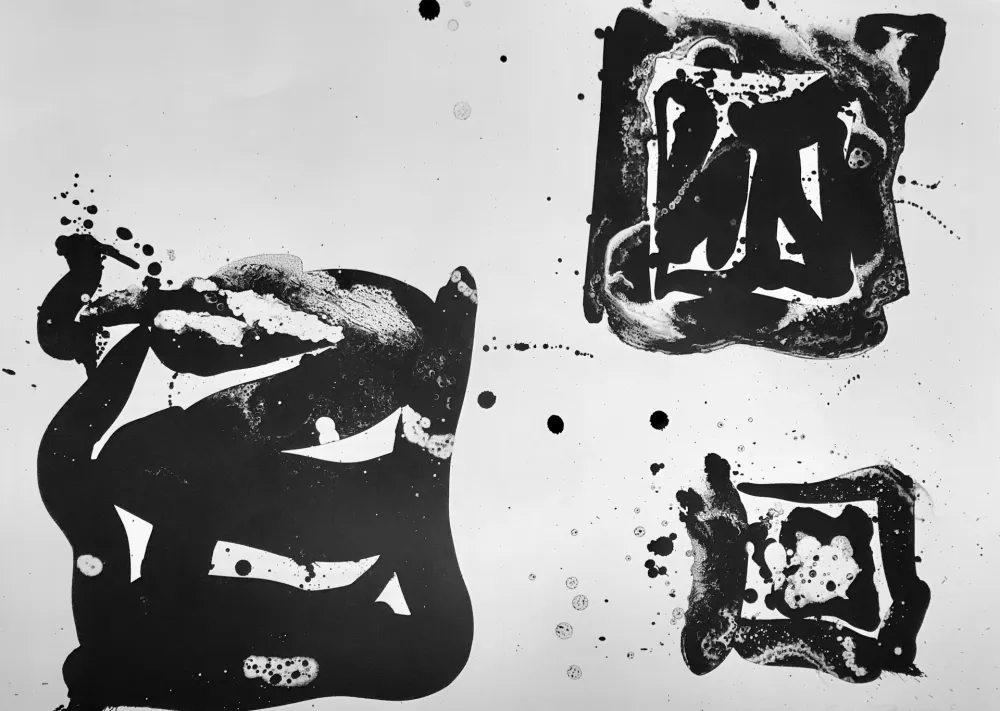 石版画 Francis - Third Stone