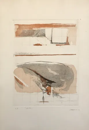 蚀刻飞尘法 Frattini - Dall'alto