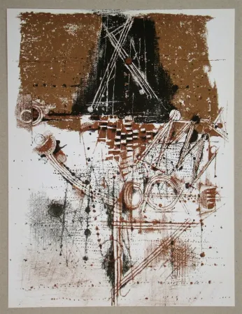 石版画 Friedlaender - Les oiseaux