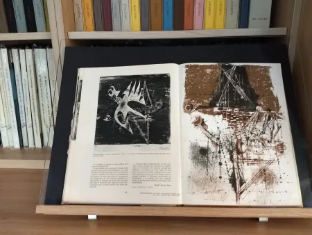 插图书 Friedlaender - No 40