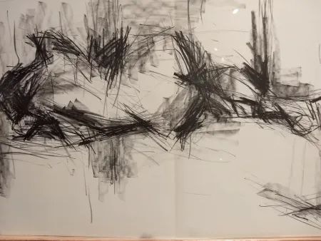 插图书 Fromanger - DLM 150