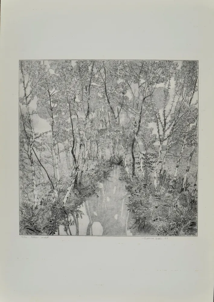 蚀刻版画 Galli - Alberi malati