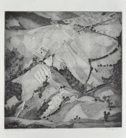蚀刻版画 Galli - LE STRADE PER GANDA