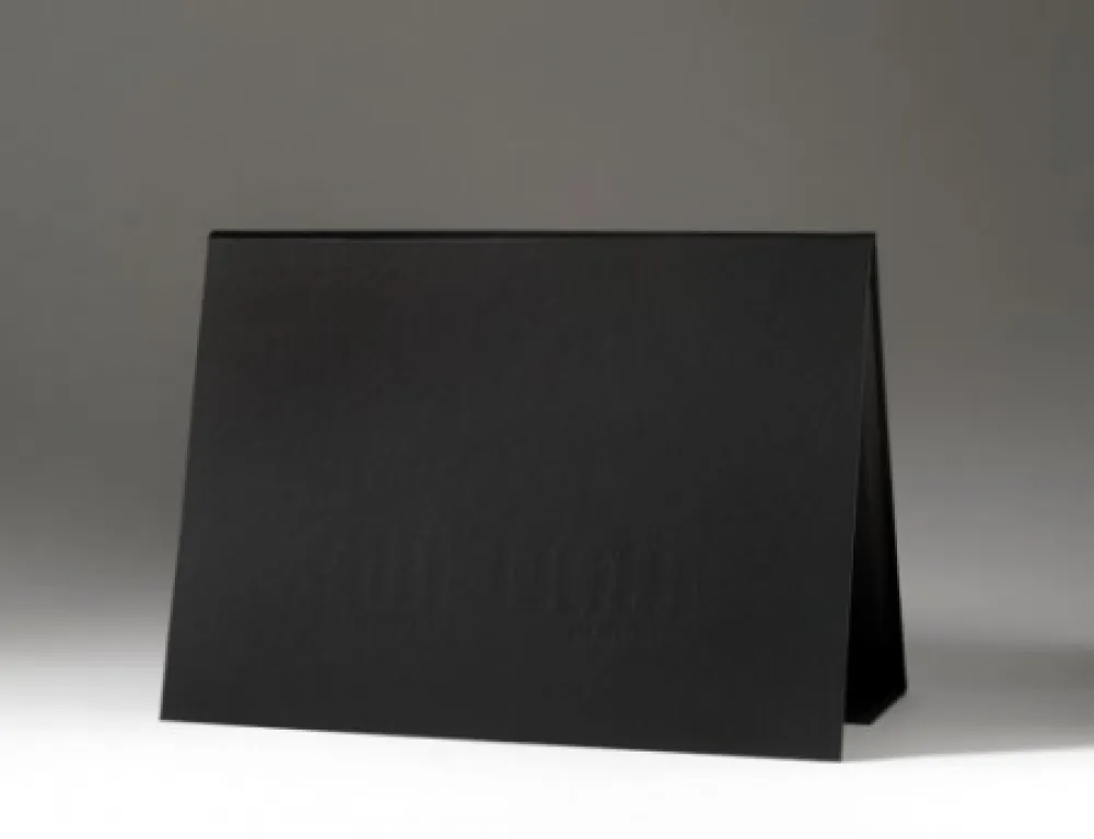 石版画 Gamarra - Portfolio RESELECCION NATURAL