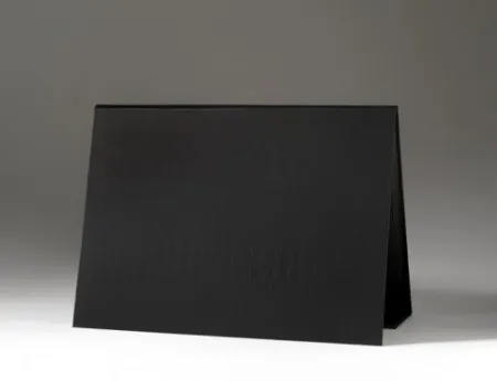 石版画 Gamarra - Portfolio RESELECCION NATURAL