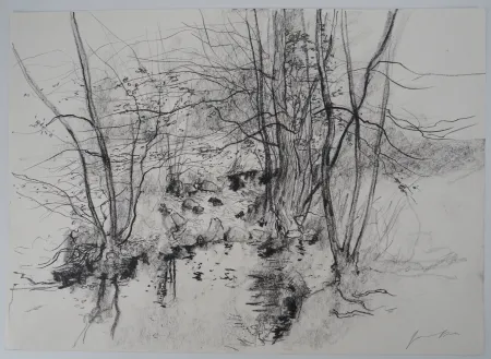 无技术 Gantner - Bord de rivière