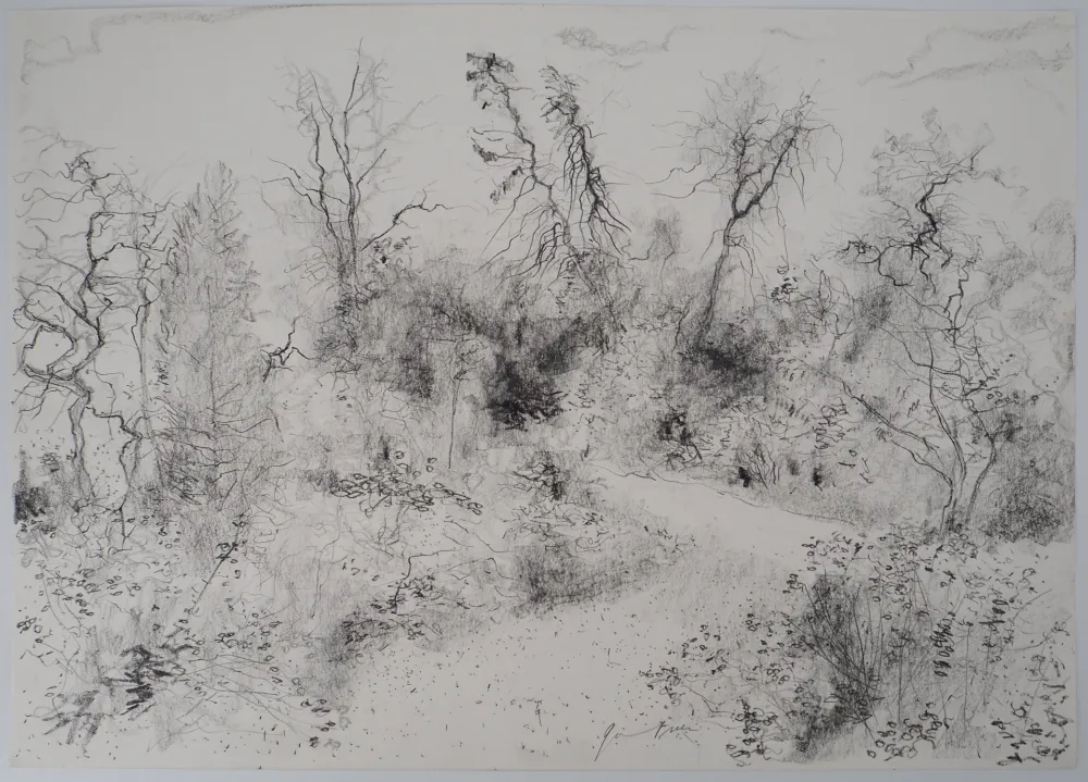 无技术 Gantner - Jardin au printemps, 