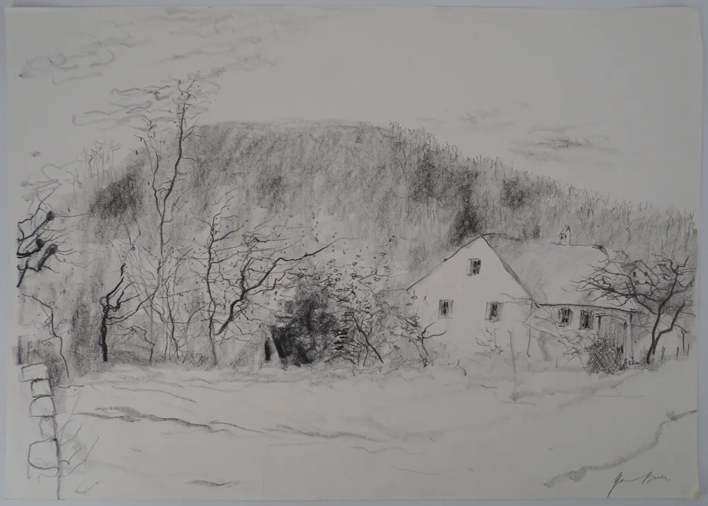 无技术 Gantner - Retour au village