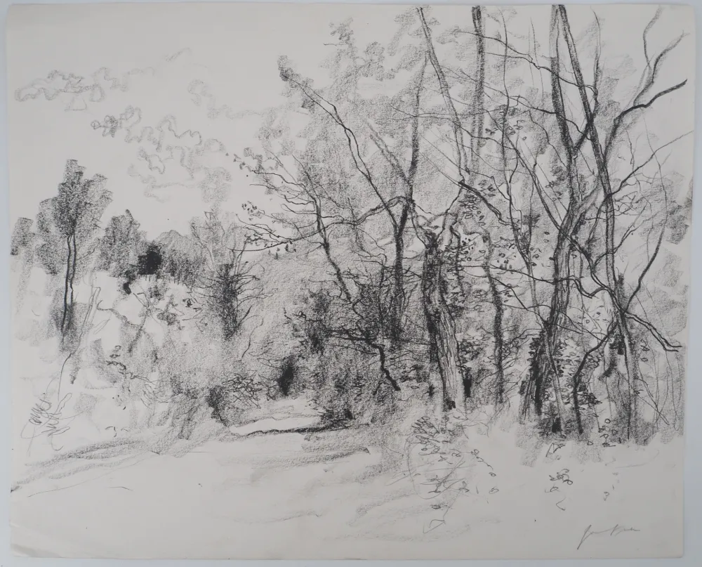 无技术 Gantner - Route de campagne