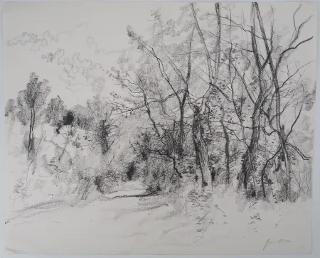 无技术 Gantner - Route de campagne