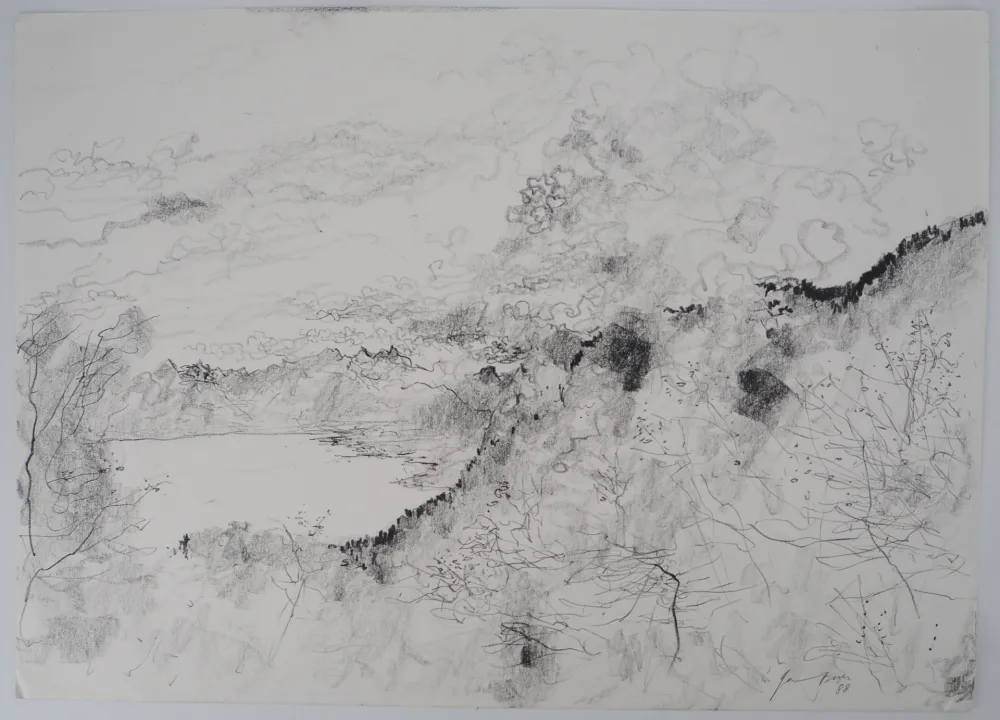 无技术 Gantner - Suisse, Nuages sur le Lac Leman