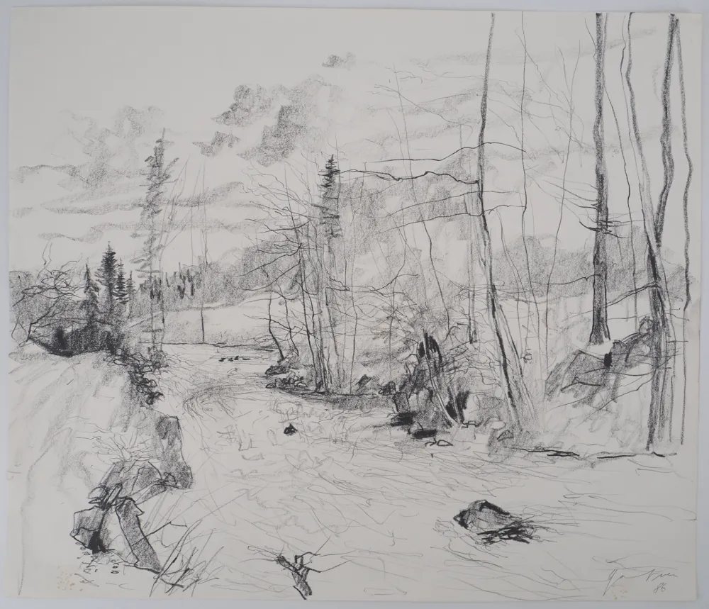 无技术 Gantner - Torrent dans les Vosges