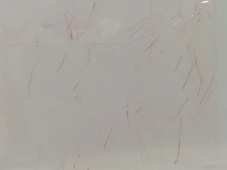 石版画 Garache - 2 personates v