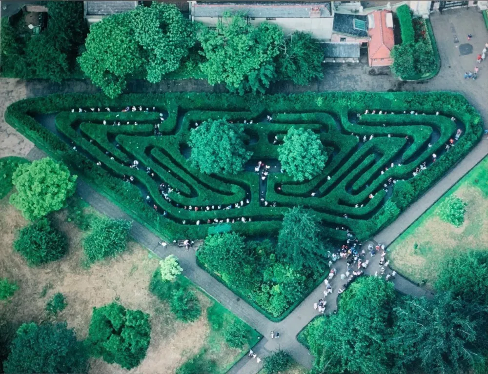 摄影 Gerster -  Heckenlabyrinth, Hampton Court, UK, 1984. 