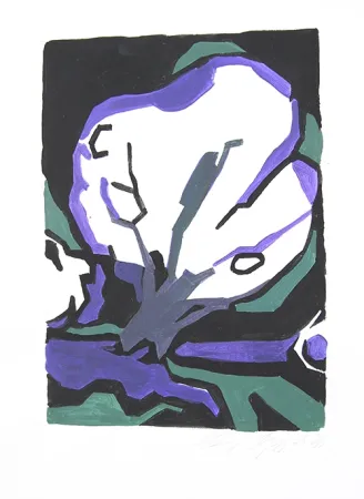 无技术 Geyer - Baum