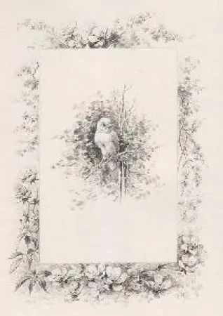 插图书 Giacomelli - Histoire d'un merle blanc. Compositions de Hector Giacomelli gravées à l'eau-forte par L. Buisson.