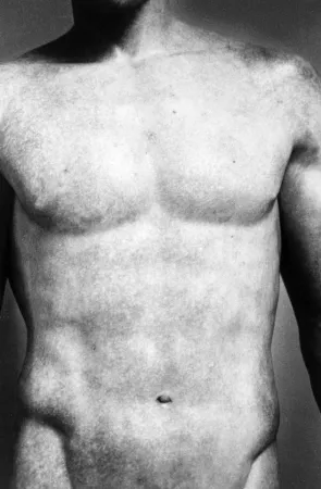 复数作品 Gibson - Torso (from Chiaroscuro)